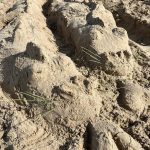 Sportdag op het strand